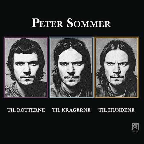 Peter Sommer - 2008 Til Rotterne, til Kragerne, til Hundene